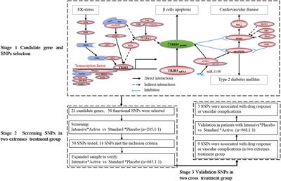 Intensive Glucose Control Reduces the Risk Effect of TRIB3, SMARCD3, and ATF6 Genetic Variation on Diabetic Vascular Complications